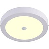 Surface-Mounted LED Downlight 20W with Motion Sensor Warm White 2700K