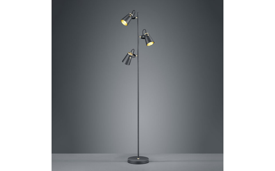 HLW LED LED Vloerlamp Trion Edwy - Mat Zwarte 3-lichts Vloerlamp met E14 fitting