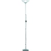 LED Floor Lamp Trion Dozwi - Matte Titanium & Aluminum