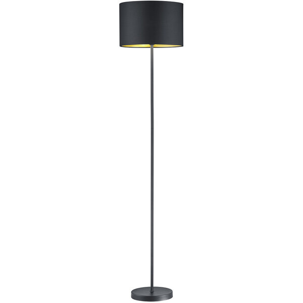 HLW LED Moderne Zwarte LED Vloerlamp Trion Hostons - E27 Fitting & Aluminium HLW LED Moderne Zwarte LED Vloerlamp Trion Hostons - E27 Fitting & Aluminium