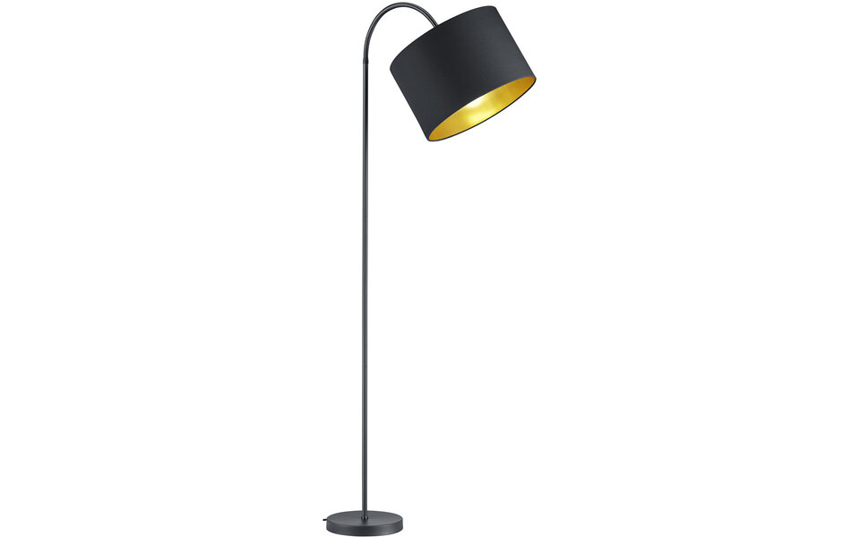 HLW LED Stylish LED Floor Lamp Trion Hostons - Matte Black, Round & Flexible Arm