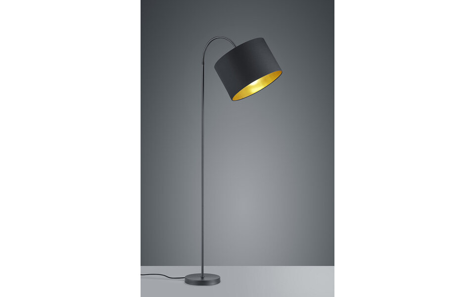 HLW LED Stylish LED Floor Lamp Trion Hostons - Matte Black, Round & Flexible Arm