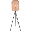LED Floor Lamp Trion Tuna - Matte Nickel & Aluminum