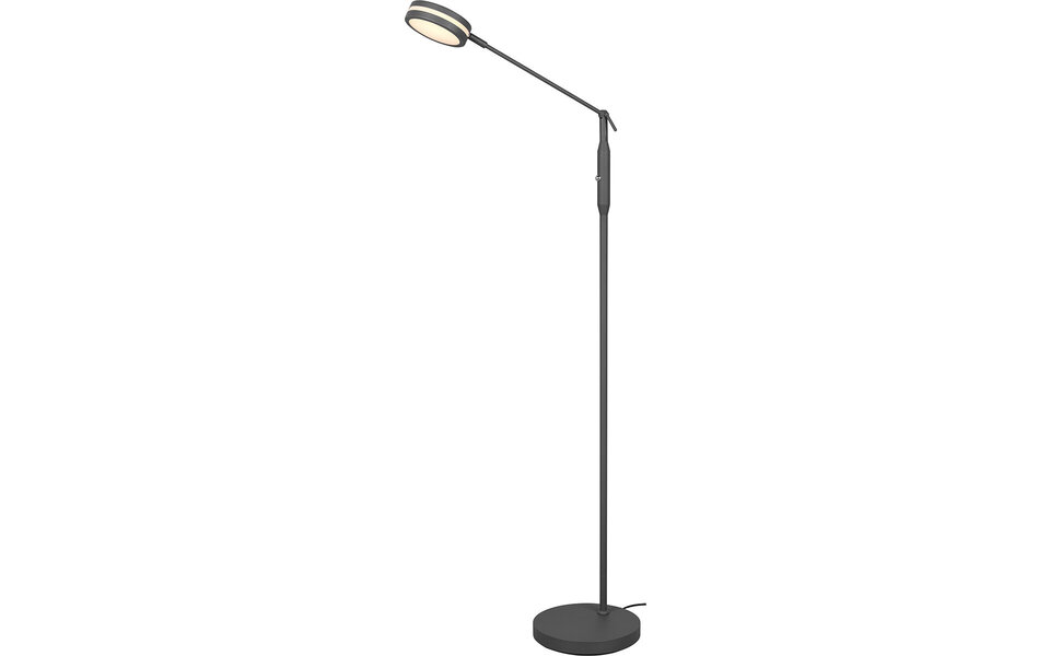 HLW LED LED Floor Lamp 5W - Dimmable, Adjustable Color & Matte Anthracite Design