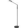 HLW LED LED Floor Lamp 5W - Dimmable, Adjustable Color & Matte Anthracite Design