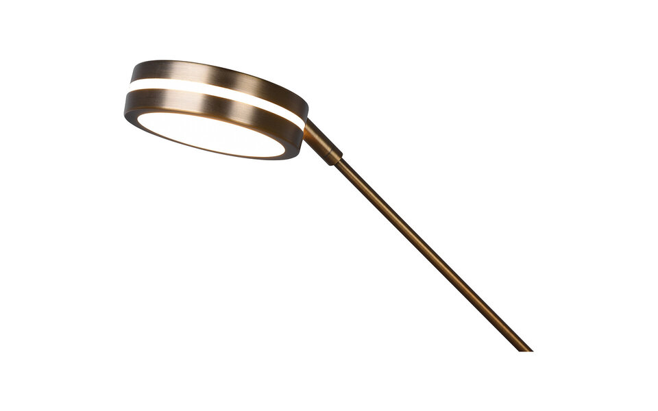 HLW LED LED Vloerlamp Dimbaar 5W - Bronzen Vloerlamp met Aanpasbare Kleur