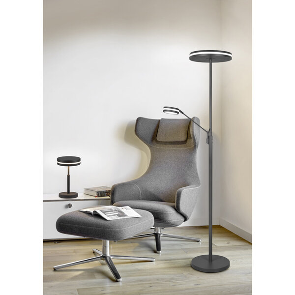 HLW LED LED Vloerlamp 5W - Dimbaar, Aanpasbare Kleur & Mat Antraciet Design