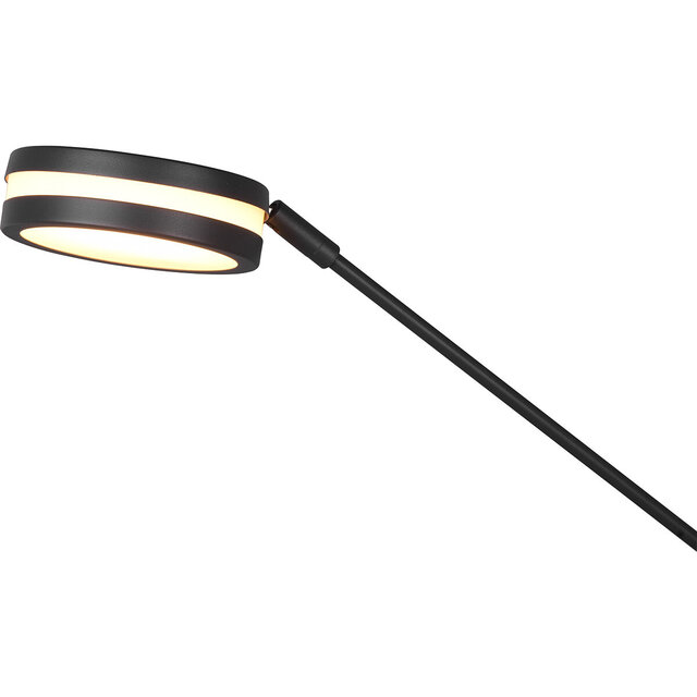 HLW LED LED Floor Lamp 5W - Dimmable, Adjustable Color & Matte Anthracite Design