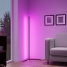 HLW LED LED Floor Lamp 10W - Black Dimmable RGB Floor Lamp with Adjustable Beam Angle