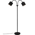 HLW LED LED Floor Lamp Trion Moty - 2-light Metal Floor Lamp in Matte Black