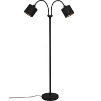 LED Floor Lamp Trion Moty - Matte Black Metal Floor Lamp