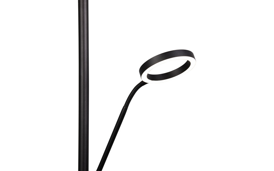 HLW LED LED Floor Lamp Metal Black Floor Lamp 5W Dimmable With Adjustable Color