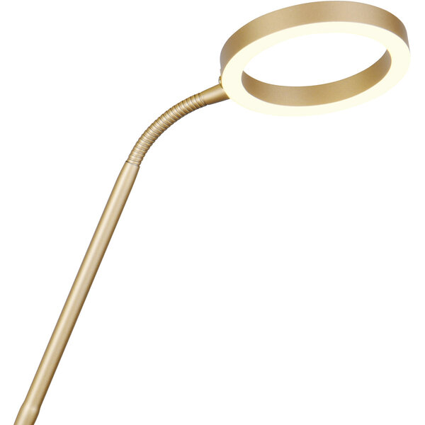 HLW LED Dimbare LED Vloerlamp - Gouden Metalen Vloerlamp met 5W LED en Aanpasbare Kleur HLW LED Dimbare LED Vloerlamp - Gouden Metalen Vloerlamp met 5W LED en Aanpasbare Kleur