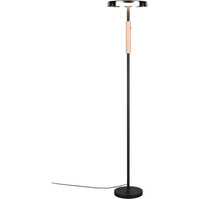 LED Floor Lamp Trion Loti – 15W Warm White 3000K Matte Black Metal