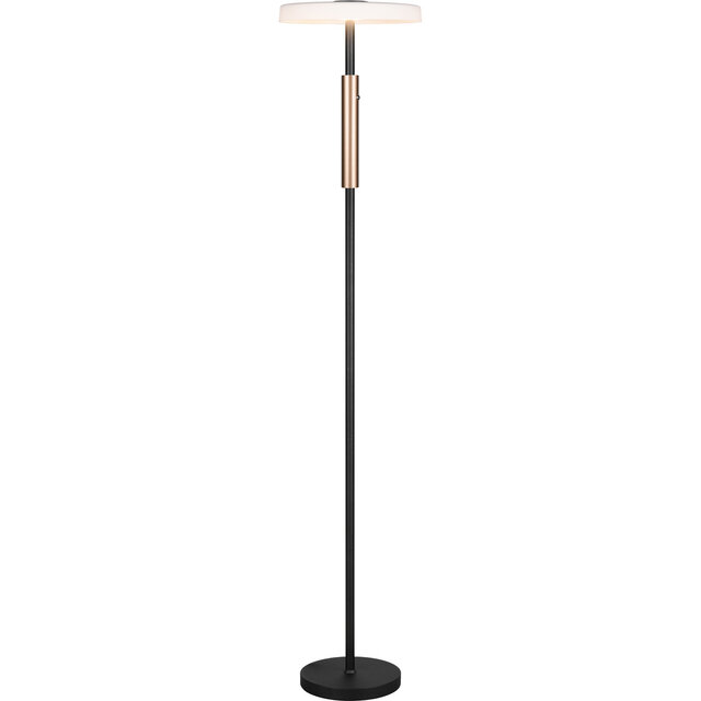 mat zwarte LED vloerlamp met slank ontwerp, 15W vermogen en warm wit licht 3000K