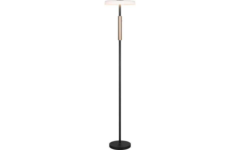 HLW LED Modern LED Floor Lamp Trion Loti 15W, Warm White 3000K, Matte Black Metal