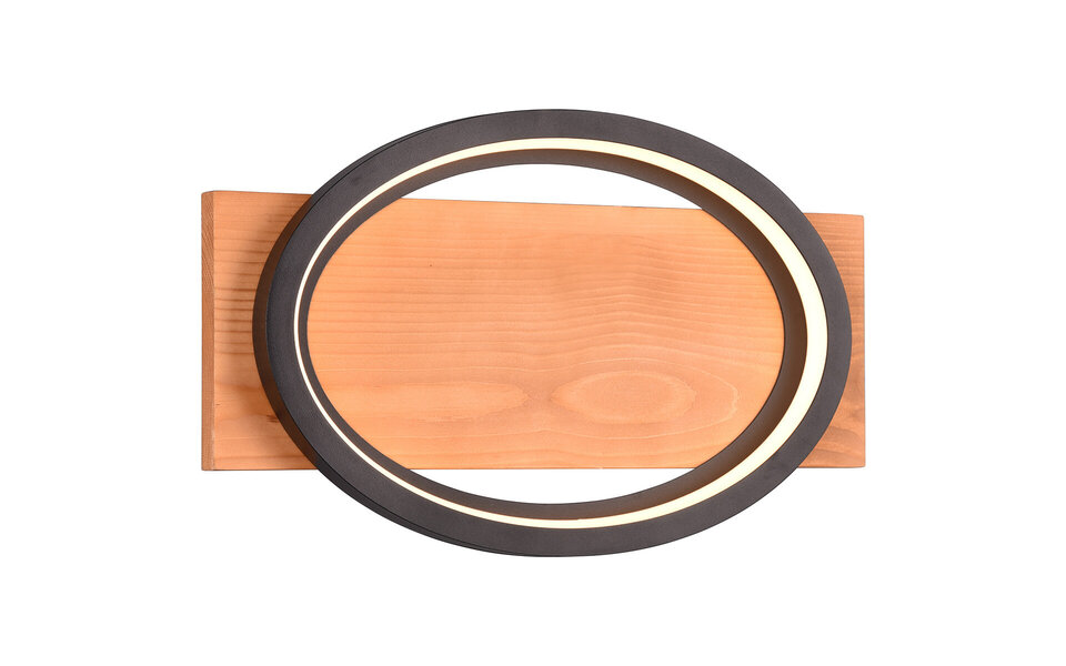 HLW LED Dimbare LED Wandlamp 16W in Mat Zwart Metaal - Warm Wit 2700K-3000K, Beam Angle Verstelbaar