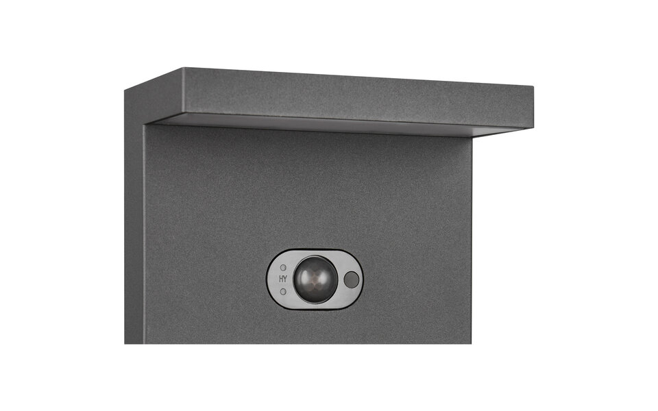 HLW LED LED Garden Lighting Trion Delbi 5W - Standing Outdoor Lamp with Motion Sensor