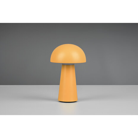 Ter vervanging van Ter vervanging van