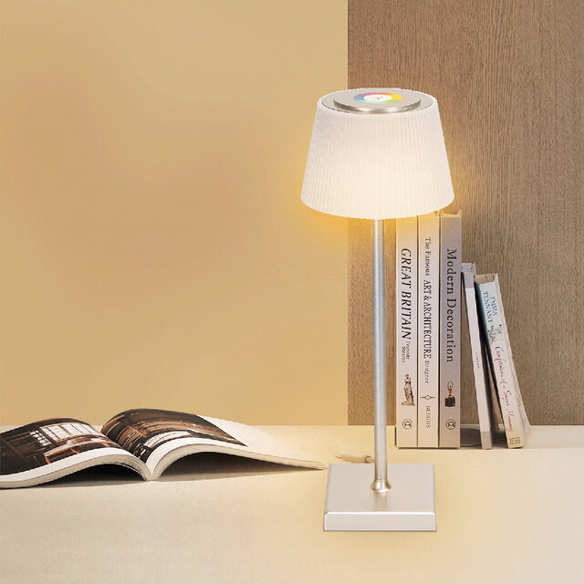 HLW LED Dimmable LED lamp RGB Floor Lamp & Dimmable LED Wall Lamp with USB Rechargeable