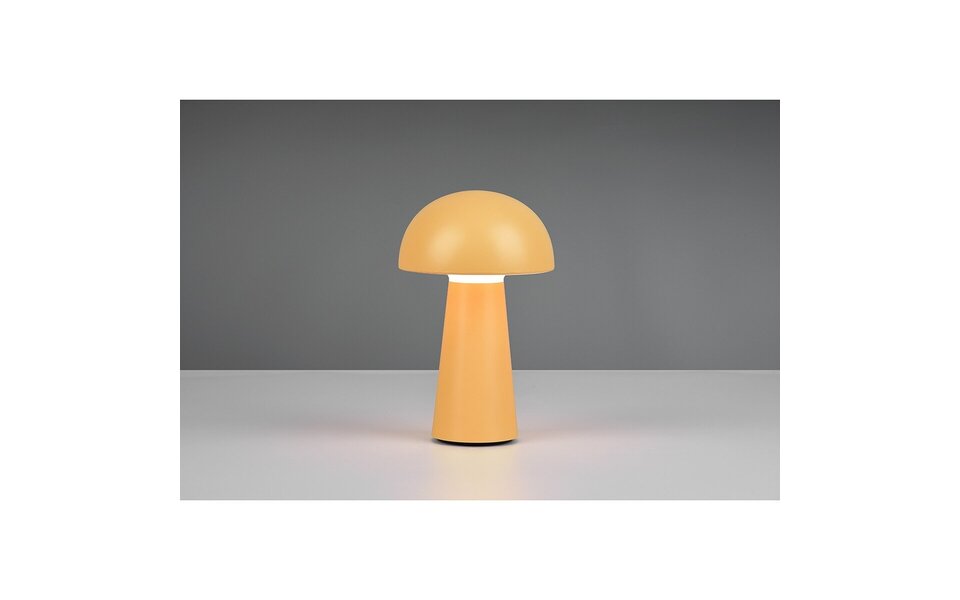 HLW LED Trion Lenio Dimbare LED Tafellamp 2W - USB Oplaadbaar, Warm Wit 3000K, IP44 Spatwaterdicht, Mat Oranje