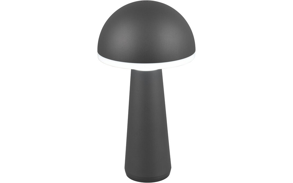 HLW LED LED Tafellamp - Trion Lungo - 2W - Aanpasbare kleur - Oplaadbare batterijen - Antraciet - Gegoten Aluminium HLW LED LED Tafellamp - Trion Lungo - 2W - Aanpasbare kleur - Oplaadbare batterijen - Antraciet - Gegoten Aluminium