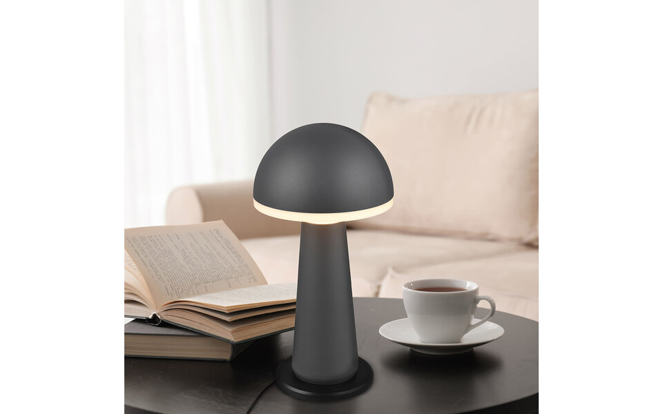 HLW LED LED Table Lamp - Trion Lungo - 2W - Adjustable color - Rechargeable batteries - Anthracite - Cast aluminum