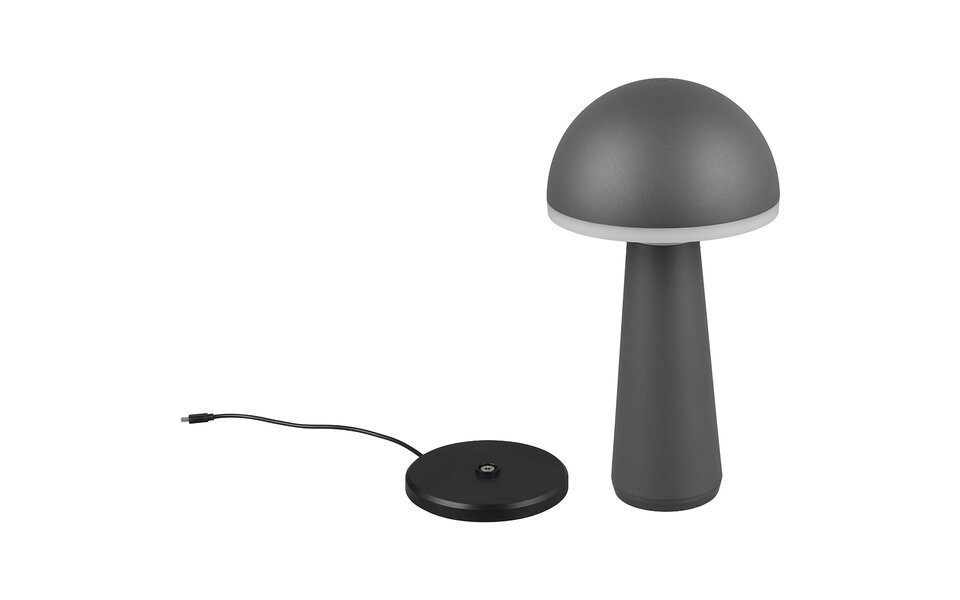 HLW LED LED Table Lamp - Trion Lungo - 2W - Adjustable color - Rechargeable batteries - Anthracite - Cast aluminum