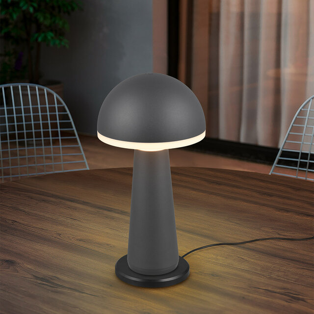HLW LED LED Table Lamp - Trion Lungo - 2W - Adjustable color - Rechargeable batteries - Anthracite - Cast aluminum