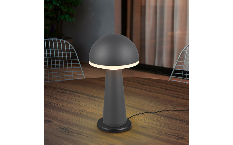 HLW LED LED Tafellamp - Trion Lungo - 2W - Aanpasbare kleur - Oplaadbare batterijen - Antraciet - Gegoten Aluminium HLW LED LED Tafellamp - Trion Lungo - 2W - Aanpasbare kleur - Oplaadbare batterijen - Antraciet - Gegoten Aluminium