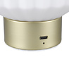 HLW LED LED Table Lamp - Trion Doli - 1.5W - Warm White 3000K - Rechargeable batteries - Matte Brass - Metal - White Glass HLW LED LED Table Lamp - Trion Doli - 1.5W - Warm White 3000K - Rechargeable batteries - Matte Brass - Metal - White Glass