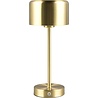 HLW LED LED Table Lamp - Trion Feli - 1.5W - Warm White 3000K - Rechargeable batteries - Brass - Metal