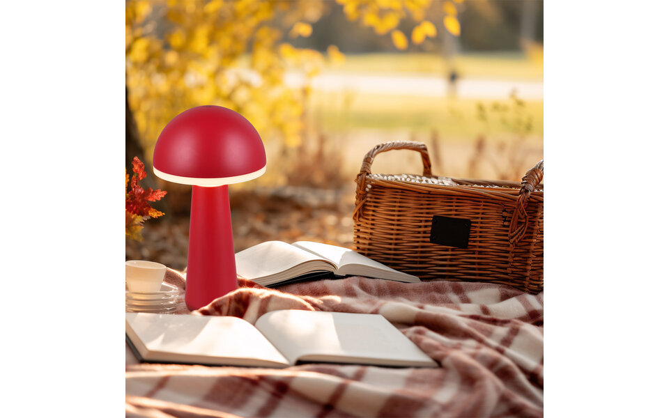 HLW LED LED Tafellamp - Trion Lungo - 2W - Aanpasbare kleur - Oplaadbare batterijen - Rood - Gegoten Aluminium