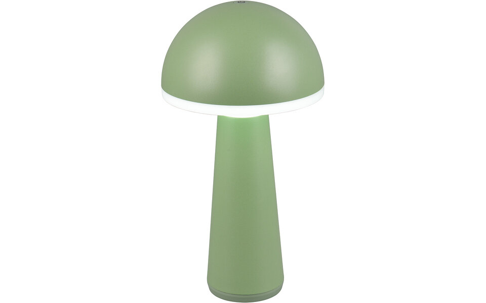 HLW LED LED Tafellamp - Trion Lungo - 2W - Aanpasbare kleur - Oplaadbare batterijen - Pistachegroen - Gegoten Aluminium