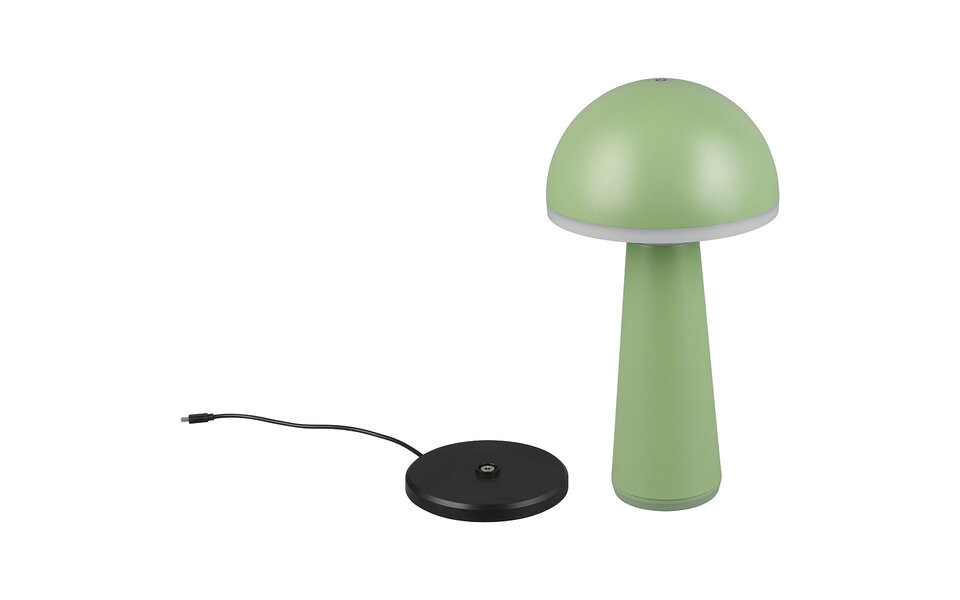 HLW LED LED Tafellamp - Trion Lungo - 2W - Aanpasbare kleur - Oplaadbare batterijen - Pistachegroen - Gegoten Aluminium