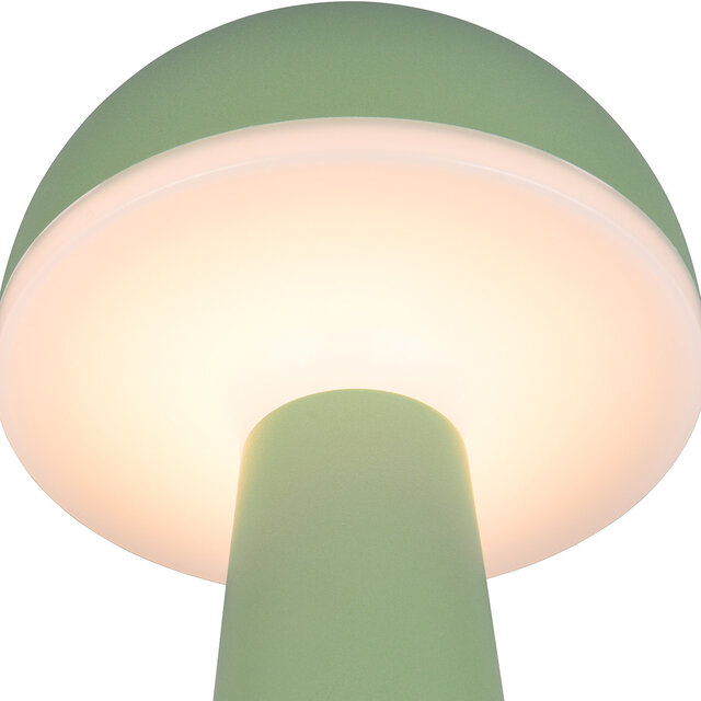 HLW LED LED Tafellamp - Trion Lungo - 2W - Aanpasbare kleur - Oplaadbare batterijen - Pistachegroen - Gegoten Aluminium