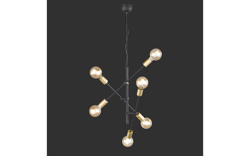 HLW LED Gouden LED Hanglamp Trion Ross - 6-lichts E27 Fitting, Mat Goud, Aluminium