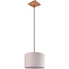 Ronde moderne LED hanglamp in antiek nikkel met E27 fitting en 60W vermogen