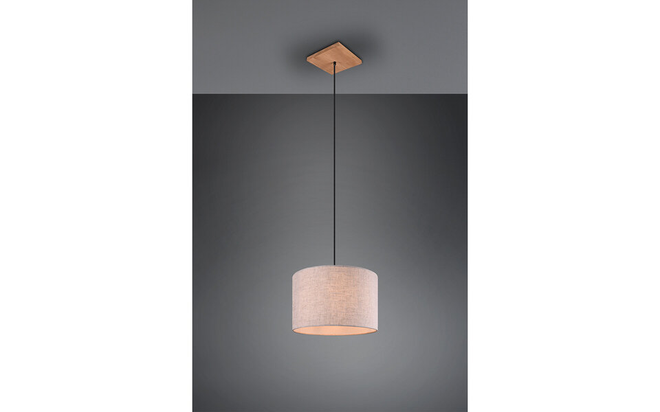 HLW LED LED Hanglamp Trion Elmo - Rond Antiek Nikkel Aluminium met E27 Fitting