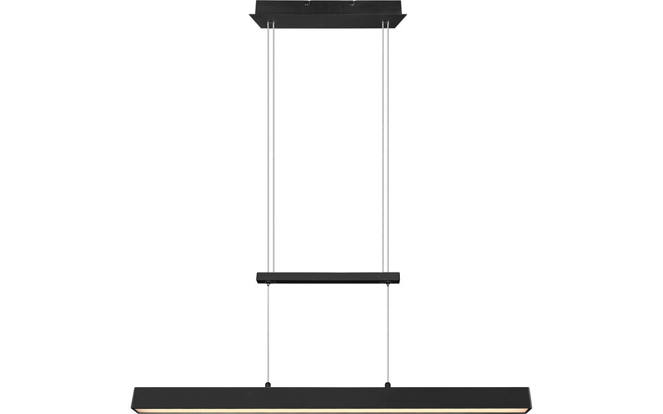 HLW LED LED Pendant Lamp 31W - Dimmable, Matte Black & Warm White - Trion Parola