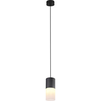 LED Pendant Lamp Trion Roba – Matte Black, E27 Socket, Aluminum