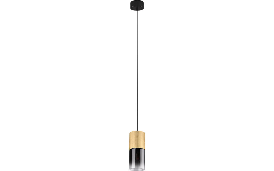 HLW LED Gold LED Pendant Lamp Trion Roba - Matte Gold Aluminum, Smoke Glass, E27 Fitting