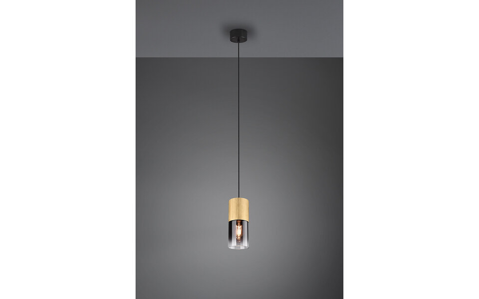 HLW LED Gold LED Pendant Lamp Trion Roba - Matte Gold Aluminum, Smoke Glass, E27 Fitting