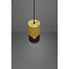 HLW LED Gold LED Pendant Lamp Trion Roba - Matte Gold Aluminum, Smoke Glass, E27 Fitting