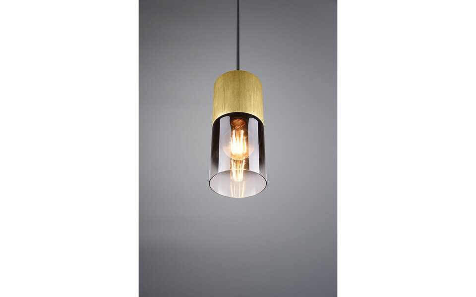 HLW LED Gouden LED Hanglamp Trion Roba - Mat Goud Aluminium, Rookglas, E27 Fitting