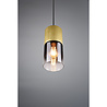 HLW LED Gold LED Pendant Lamp Trion Roba - Matte Gold Aluminum, Smoke Glass, E27 Fitting
