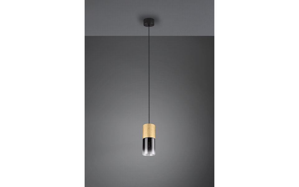 HLW LED Gold LED Pendant Lamp Trion Roba - Matte Gold Aluminum, Smoke Glass, E27 Fitting
