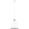 HLW LED LED Pendant Lamp Trion Jaguar - Matte White Aluminum, Round, 40W LED, E27 Fitting