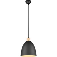LED Pendant Lamp Trion Jaguar - Black, 40W, E27 Fitting