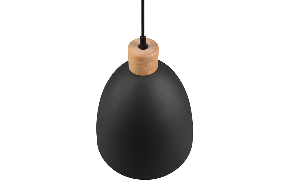 HLW LED Matt Black LED Pendant Lamp Trion Jaguar - Aluminum, 40W, E27 Fitting